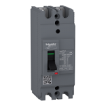 EZC100H2020 - Intreruptor Automat Easypact Ezc100H - Tmd - 20 A - 2 Poli 2D, EZC100H2020, Schneider Electric
