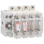 GS2NG4 - Corp Intrerupatoare Sigurante Tesys Gs2N - 4 Poli - 250 A - Din 1, GS2NG4, Schneider Electric