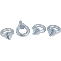 NSYSFEB - set of 4 Spacial SF M12 lifting eyebolt - galvanized cast steel, Schneider Electric