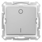 SDN0200360 - Sedna - 2pole switch - 10AX IP44 without frame aluminium, Schneider Electric