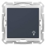 SDN0900370 - Sedna - 1pole pushbutton - 10A light symbol, IP44 without frame graphite, Schneider Electric