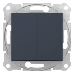 SDN1100170 - Sedna - Buton Dublu 1 Pol - 10A Fara Cadru Grafit