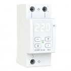 Voltage monitoring relay